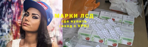 прущие грибы Алексеевка