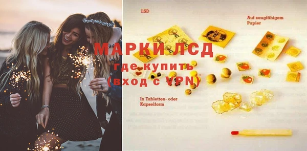 прущие грибы Алексеевка