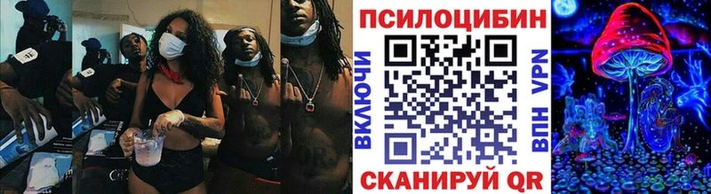 Псилоцибиновые грибы Psilocybe  где купить наркотик  Ачхой-Мартан 